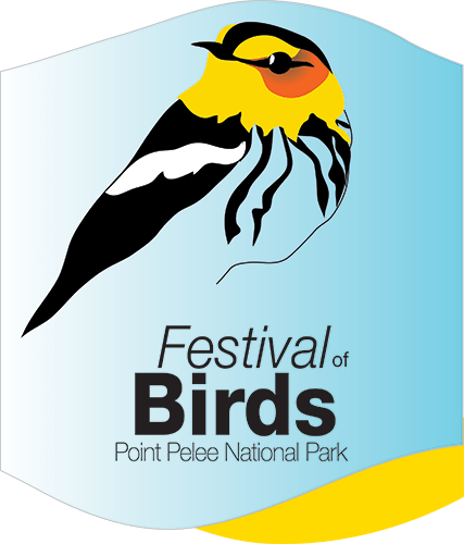 Festival of Birds
